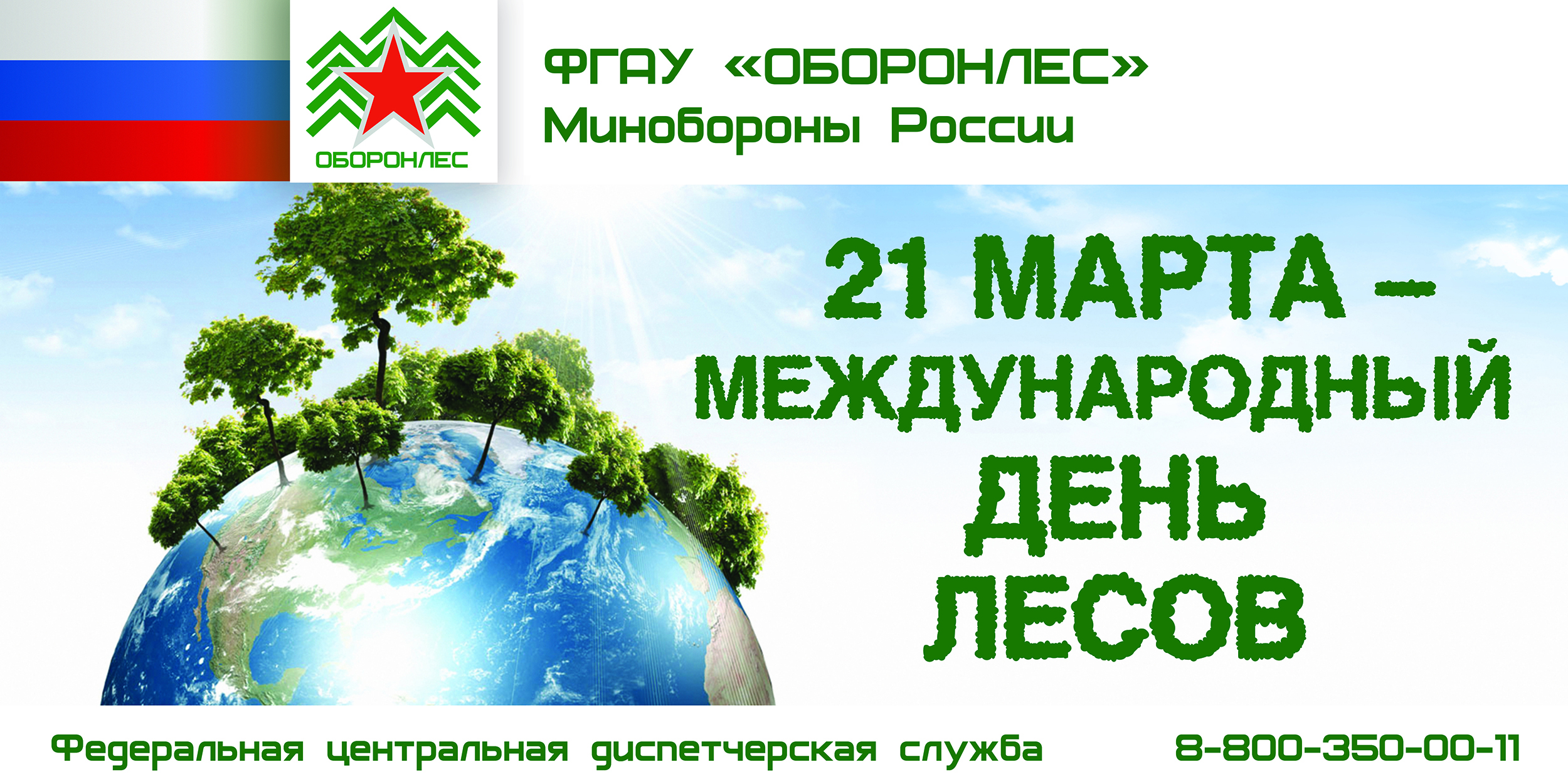 День леса в мире. Международный день лесов. Междуанродныйдень лесов. Международныйдерь лесов.